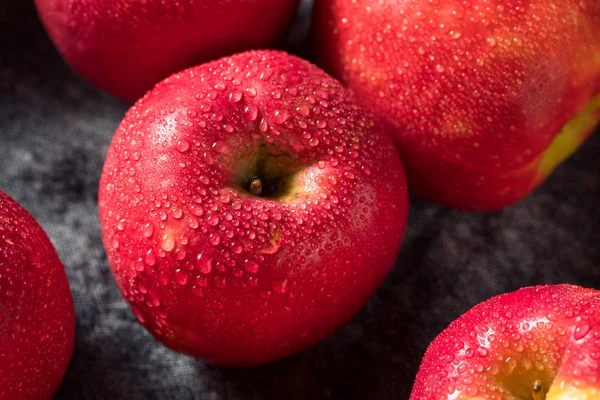 Rå röd ekologisk Pink Lady-äpplen — Stockfoto