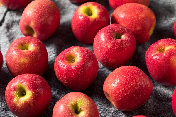 Сирі червоні органічні рожеві леді яблука — стокове фото