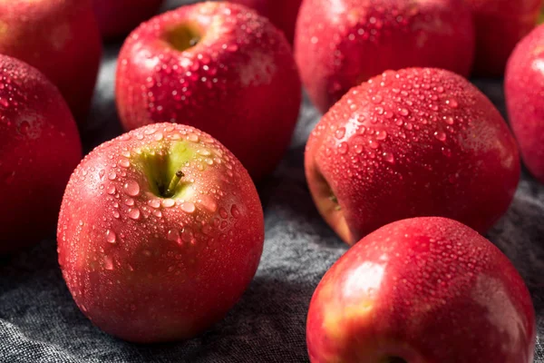 Manzanas rosadas orgánicas rojas crudas —  Fotos de Stock