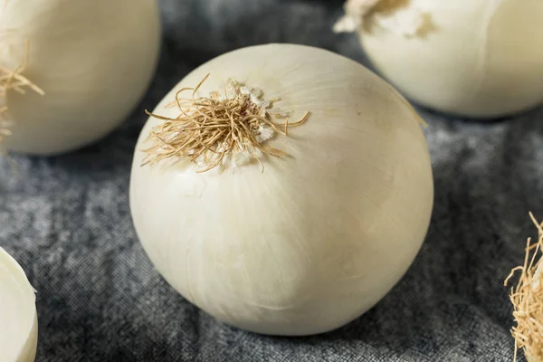 Organic White Sweet Onions — Stock Photo, Image