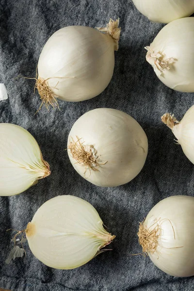 Bio weiße süße Zwiebeln — Stockfoto