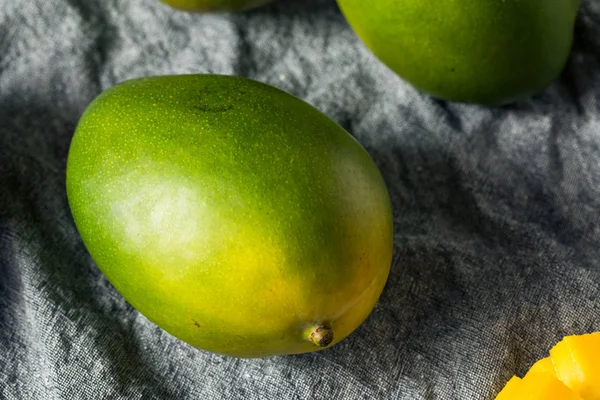 Kiett verde crudo orgánico Mangos — Foto de Stock