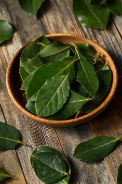 Ham yeşil organik defne yaprağı