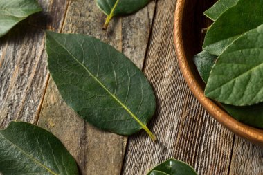 Ham yeşil organik defne yaprağı