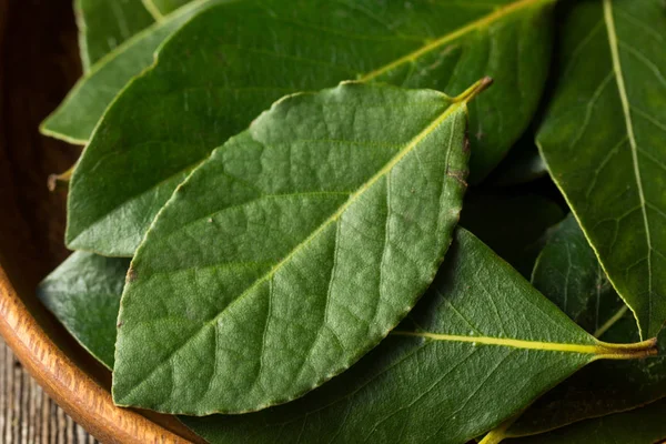 Hojas de laurel orgánicas verdes crudas —  Fotos de Stock