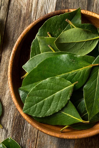 Rauwe groene biologische laurierblaadjes — Stockfoto