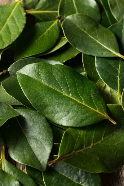 Hojas de laurel orgánicas verdes crudas —  Fotos de Stock