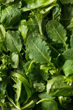 Çiğ Yeşil Organik Bebek Kale Superfood