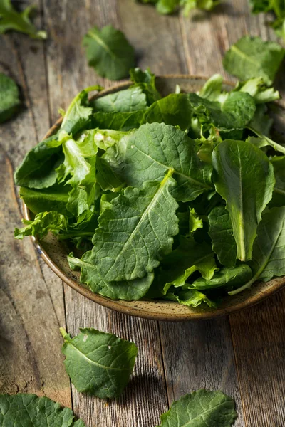 Verde crudo orgánico bebé Kale Superfood — Foto de Stock