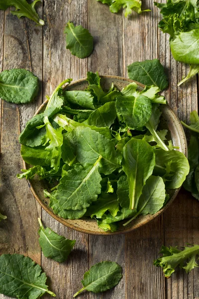 Verde crudo orgánico bebé Kale Superfood — Foto de Stock