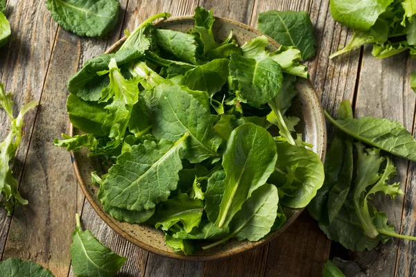 Raw Green Organic Baby Kale Superfood — Stock Photo, Image