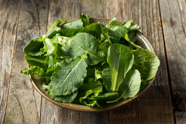 Verde crudo orgánico bebé Kale Superfood —  Fotos de Stock