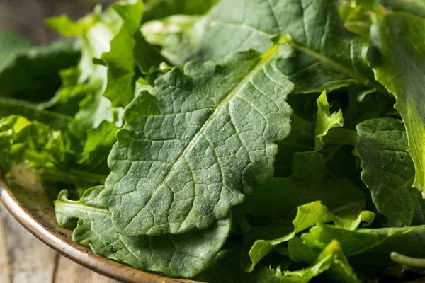 Raw Green Organic Baby Kale Superfood — Stock Photo, Image