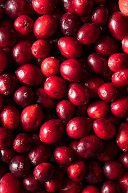 Çiğ kırmızı organik kızılcık