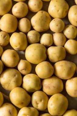 Organik Beyaz Bebek Patatesleri