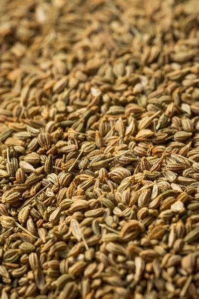 Raw Brown Organic  Ajwain Seed — Stock Photo, Image