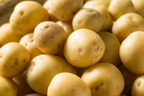 Organic White Baby Potatoes — Stock Photo, Image