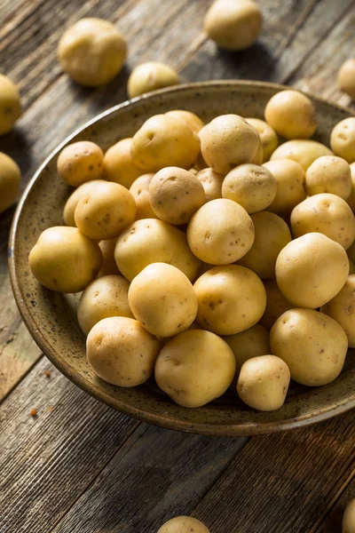 Βιολογικές λευκές πατάτες — Φωτογραφία Αρχείου