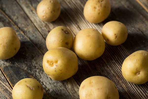 Patatas blancas orgánicas del bebé — Foto de Stock