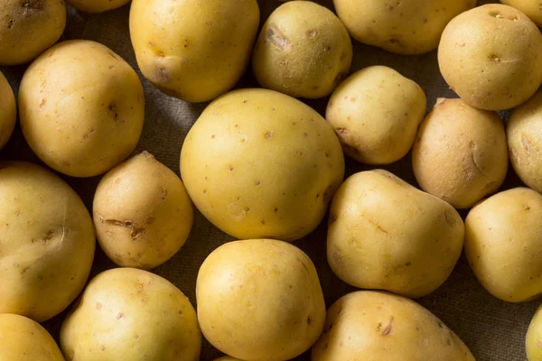 Organic White Baby Potatoes — Stock Photo, Image