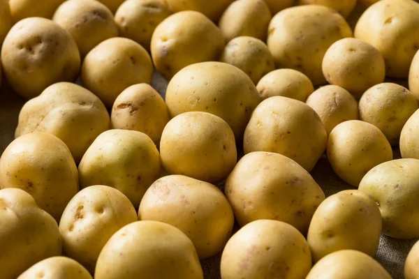 Organic White Baby Potatoes — Stock Photo, Image