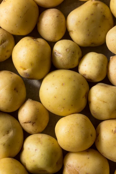 Białe ziemniaki dla niemowląt — Zdjęcie stockowe