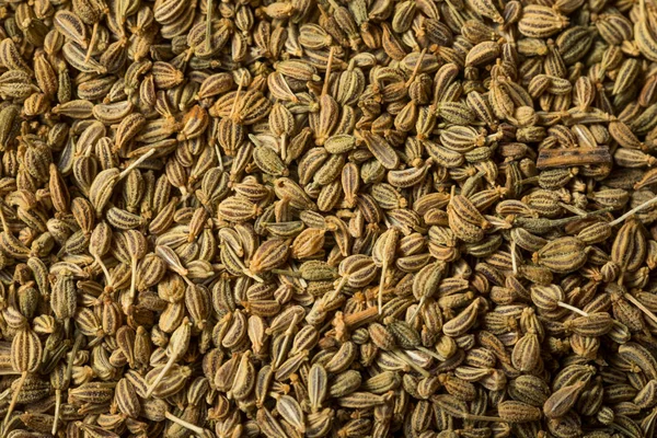 Raw Brown Organic Ajwain Seed — стокове фото