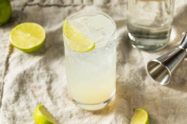 Ayyaş Alkolik Kireç Cin Rickey Kola Kokteyli