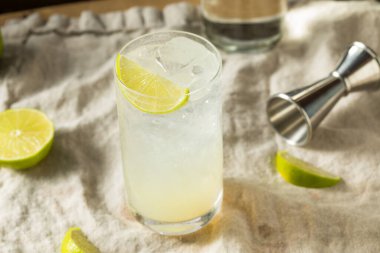 Ayyaş Alkolik Kireç Cin Rickey Kola Kokteyli