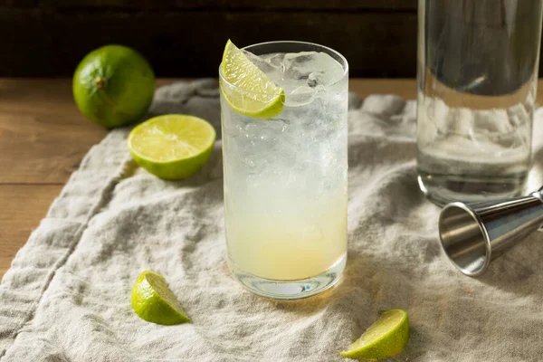 酒精中毒Lime Gin Rickey鸡尾酒和Soda — 图库照片