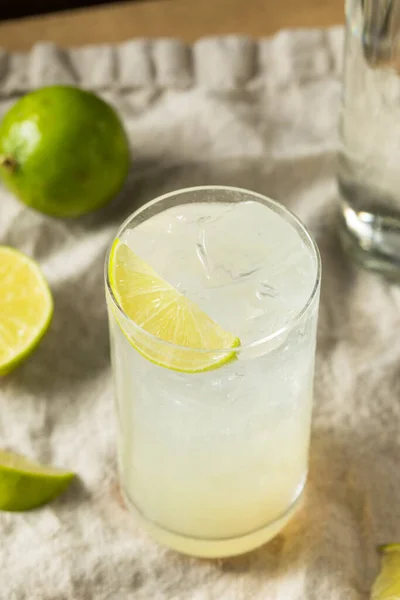 Αλκοολούχο Ποτό Lime Gin Rickey Cocktail Σόδα — Φωτογραφία Αρχείου