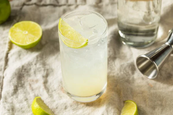 Αλκοολούχο Ποτό Lime Gin Rickey Cocktail Σόδα — Φωτογραφία Αρχείου