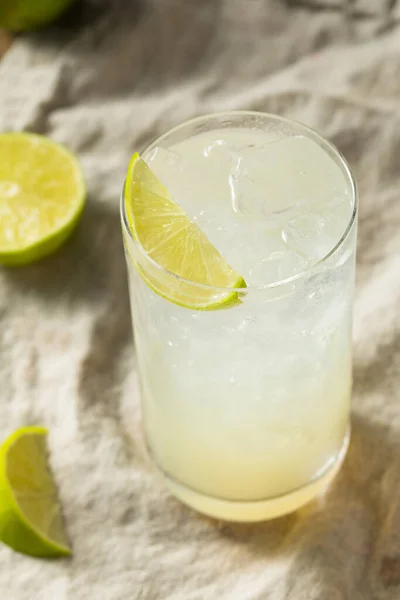 Fyllig Alkoholhaltig Lime Gin Rickey Cocktail Med Läsk — Stockfoto