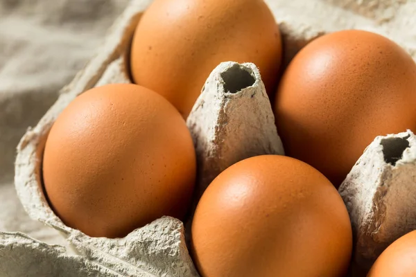 Huevos Marrones Orgánicos Crudos Listos Para Cocinar — Foto de Stock