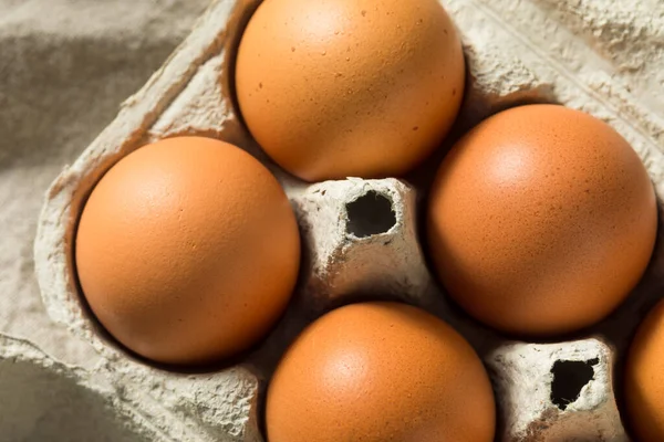 Råa Ekologiska Bruna Ägg Redo Att Laga Mat — Stockfoto