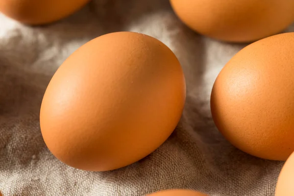 Huevos Marrones Orgánicos Crudos Listos Para Cocinar — Foto de Stock