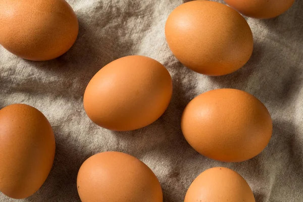 Çiğ Organik Kahverengi Yumurtalar Pişirmeye Hazır — Stok fotoğraf