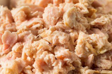 Organik Konserve Albacore Ton Balığı