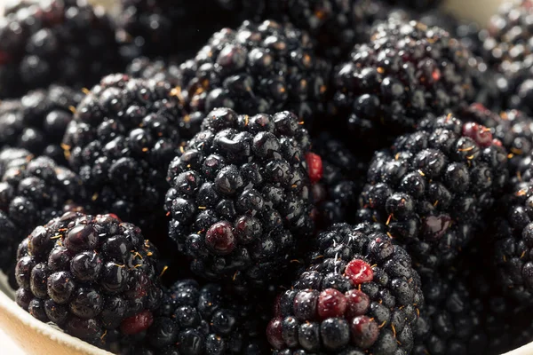 Çiğ organik taze böğürtlenler kasede