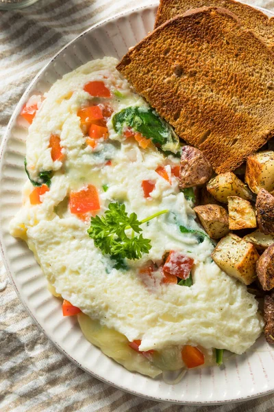健康的自制蛋清素食全麦卷 — 图库照片