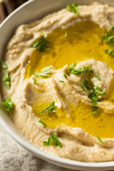 Organic Homemade Chickpea Hummus Pita Olive Oil — Stock Photo, Image