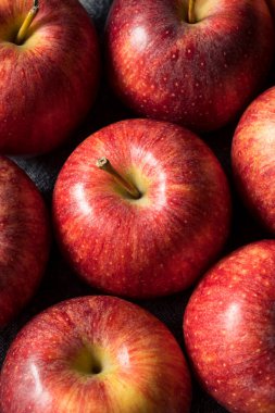 Çiğ Kırmızı Organik Gala Elmaları