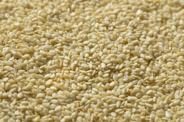 Çiğ Organik Kuru Beyaz Susam Tohumları Bir Kâsede — Stok fotoğraf