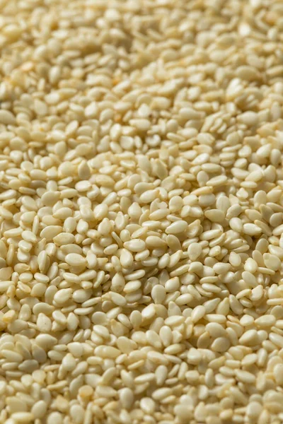 Raw Organic Dry White Sesam Seeds Een Schaal — Stockfoto