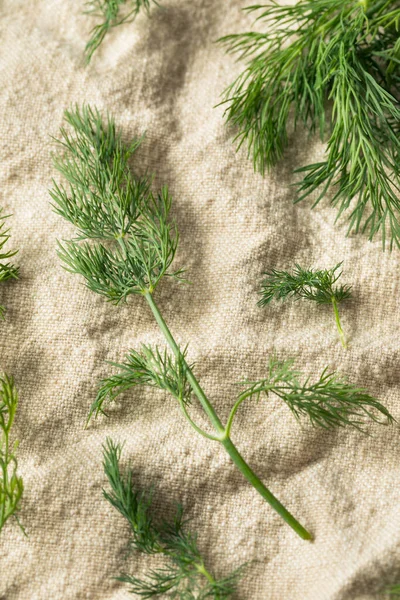 Nyers Zöld Organic Dill Herb Egy Csapat — Stock Fotó
