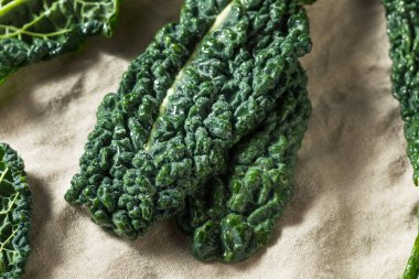 Çiğ Yeşil Organik Toskana Dinozor Kalesi