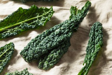 Çiğ Yeşil Organik Toskana Dinozor Kalesi