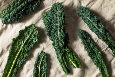 Çiğ Yeşil Organik Toskana Dinozor Kalesi