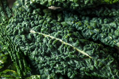 Çiğ Yeşil Organik Toskana Dinozor Kalesi