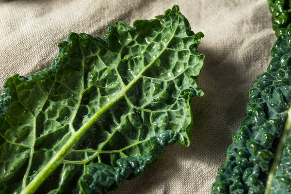 Raw Green Organic Tuscan Dinosaur Kale Bunch — Stock Photo, Image